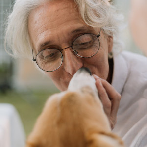 Dog kissing elderly man