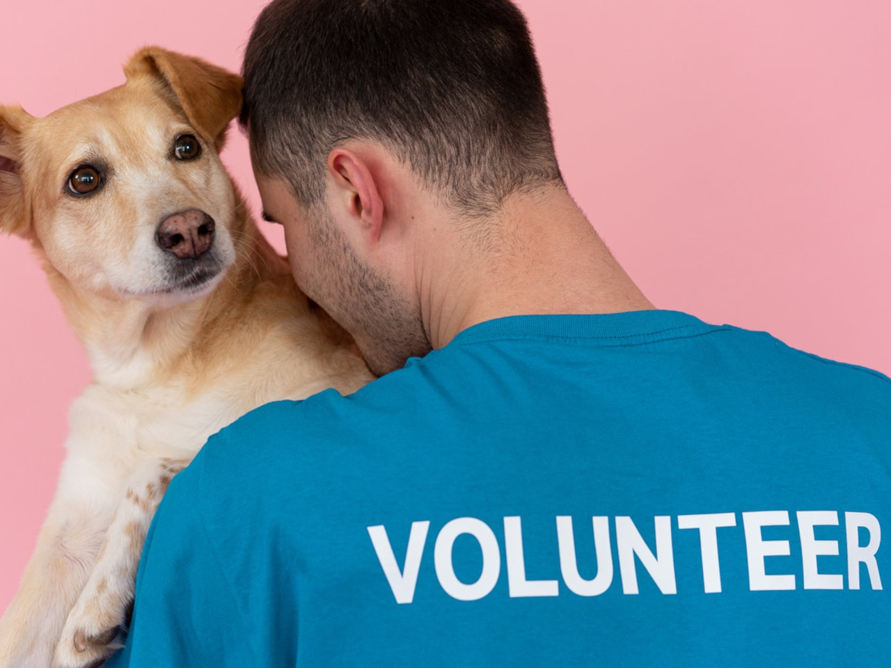 Man facing away, volunteering and holding dog