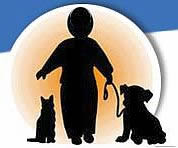 Shadows of a child walking a dog next to a cat