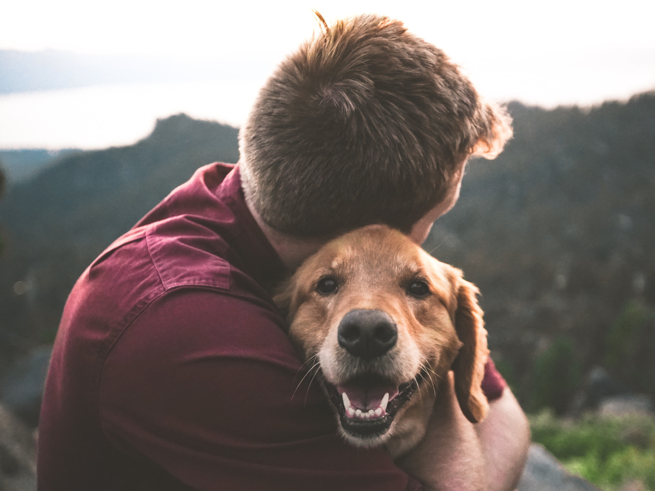 Man facing away, holding golden retriever. Mountains in background.